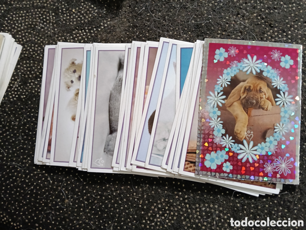 Coleccionismo cromos antiguos: Lote de 40 cromos diferentes de ANIMALITOS DIVERTIDOS de Panini 2009 en buen estado