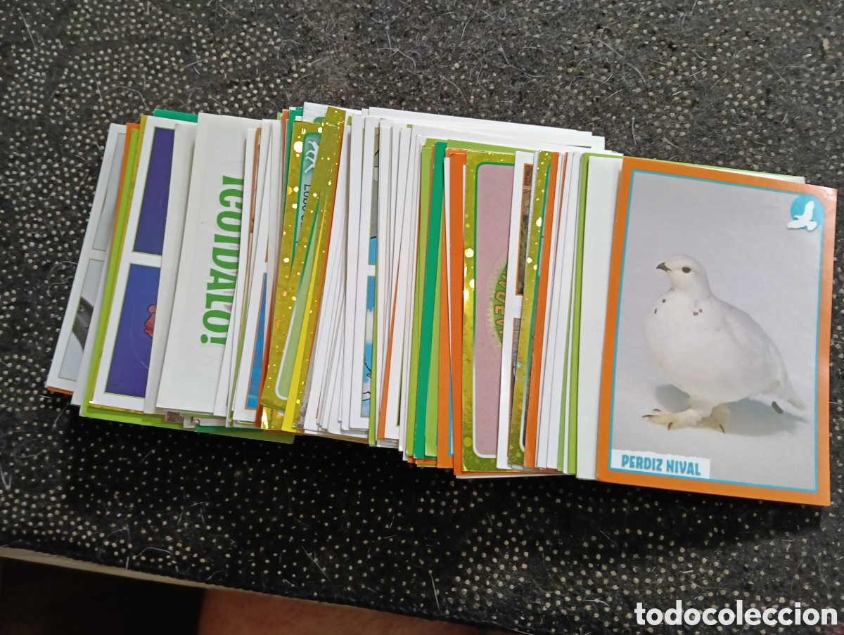 Coleccionismo cromos antiguos: Lote de 135 cromos EL GRAN ALBUM DEL MUNDO ANIMAL 2012 de Panini, sin pegar algunos repetidos