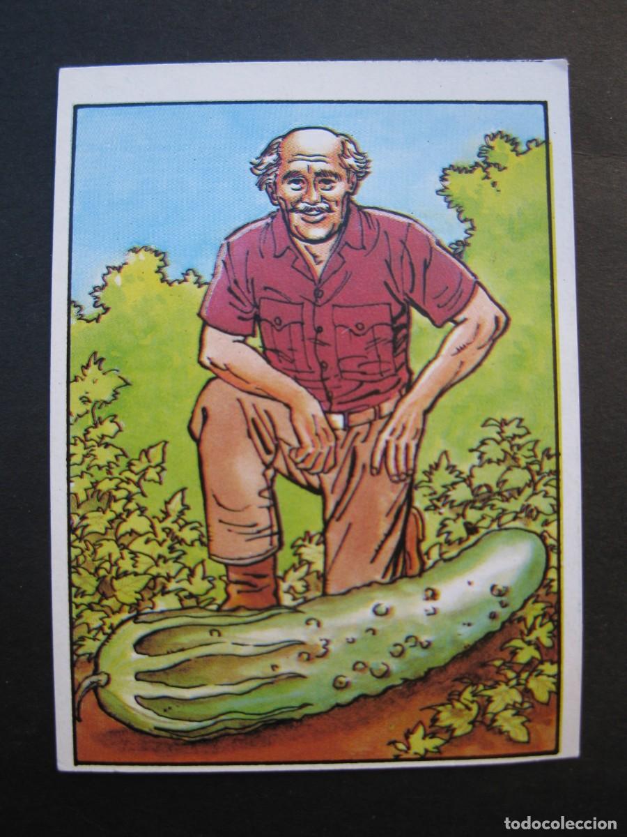 Coleccionismo cromos antiguos: LOS RECORDS - CROMO N&ordm; 59 - EL PEPINO M&Aacute;S GRANDE - CROMOS ROS - NUNCA PEGADO.