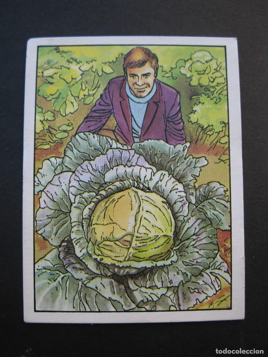Coleccionismo cromos antiguos: LOS RECORDS - CROMO N&ordm; 56 - LA COL M&Aacute;S GRANDE - CROMOS ROS - NUNCA PEGADO.