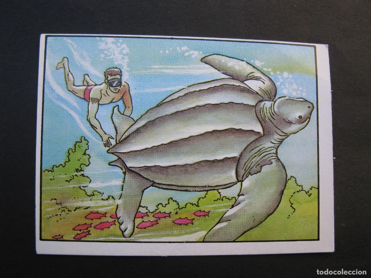 Coleccionismo cromos antiguos: LOS RECORDS - CROMO N&ordm; 46 - LA TORTUGA MAYOR - CROMOS ROS - NUNCA PEGADO.