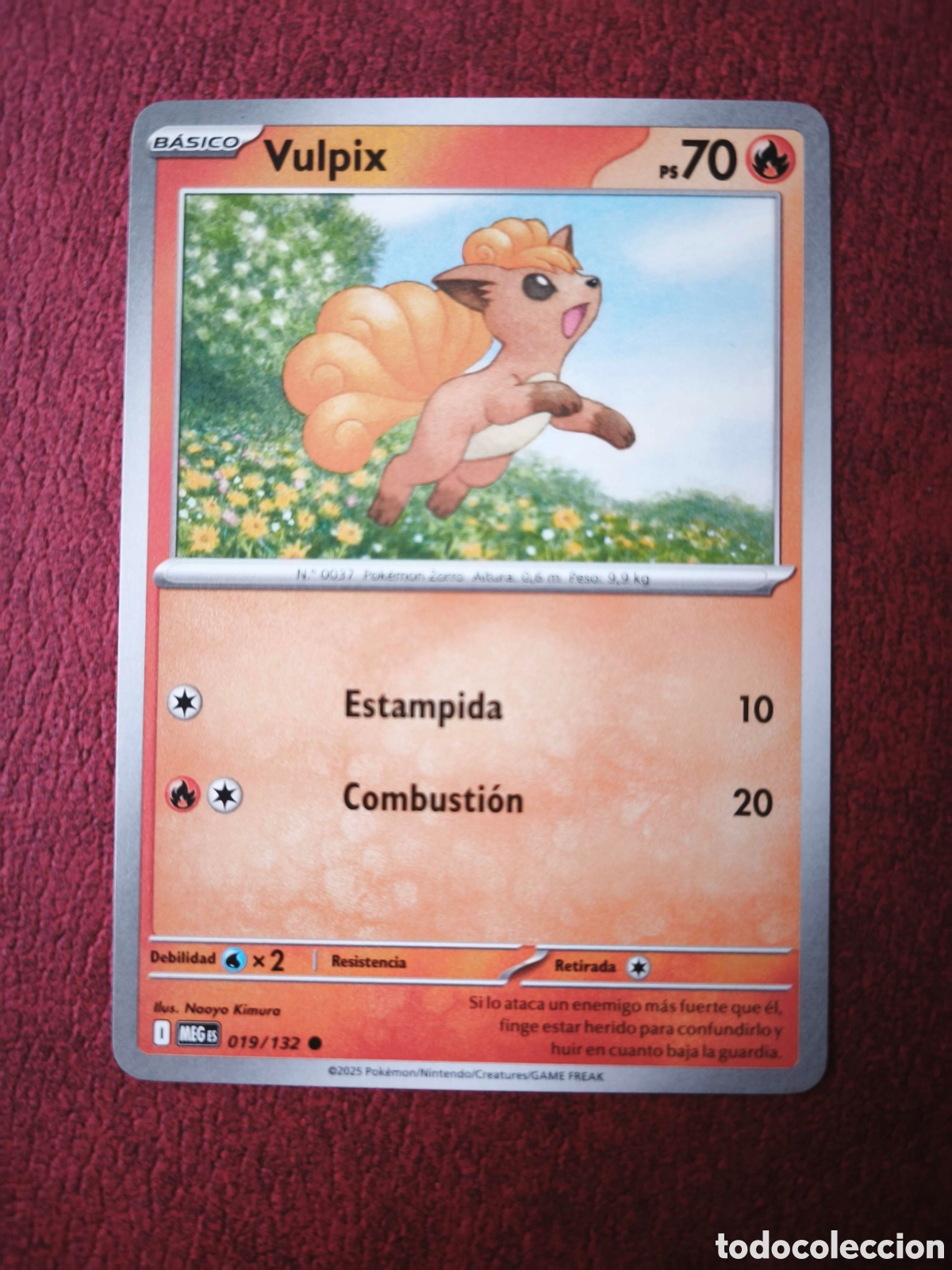 Coleccionismo cromos antiguos: Pokemon. 2025. Vulpix #19, ingl&eacute;s