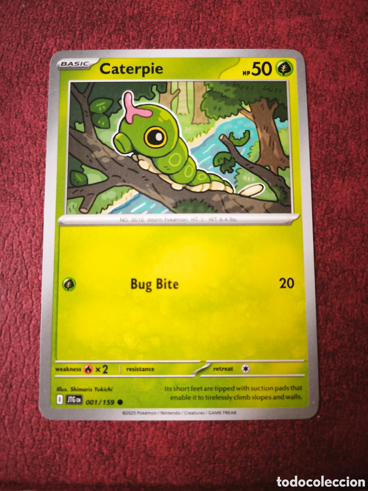 Coleccionismo cromos antiguos: Pokemon. 2025. Caterpie #1, en ingl&eacute;s