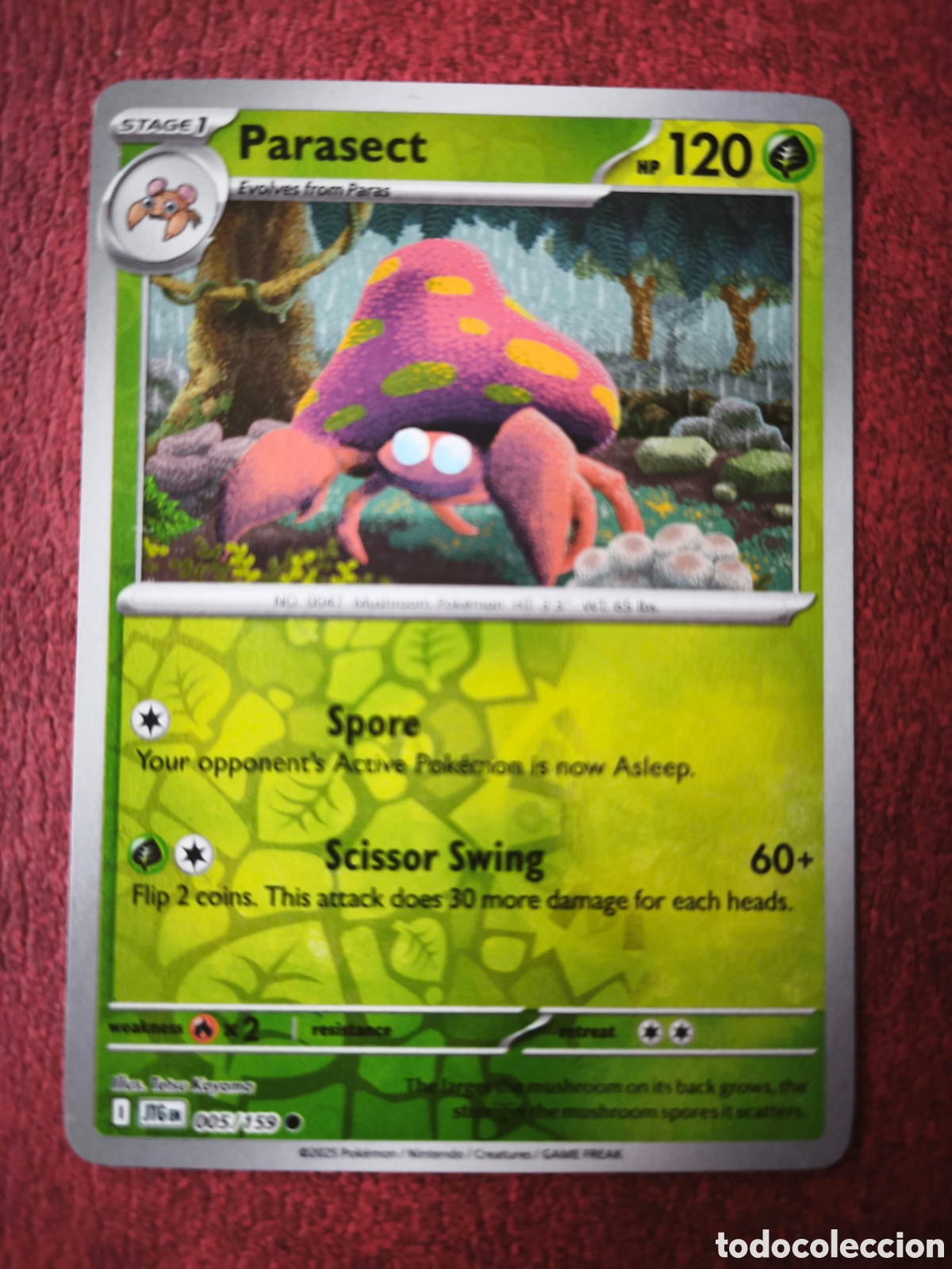 Coleccionismo cromos antiguos: Pokemon. 2025. Parasect #5, brillante, en ingl&eacute;s