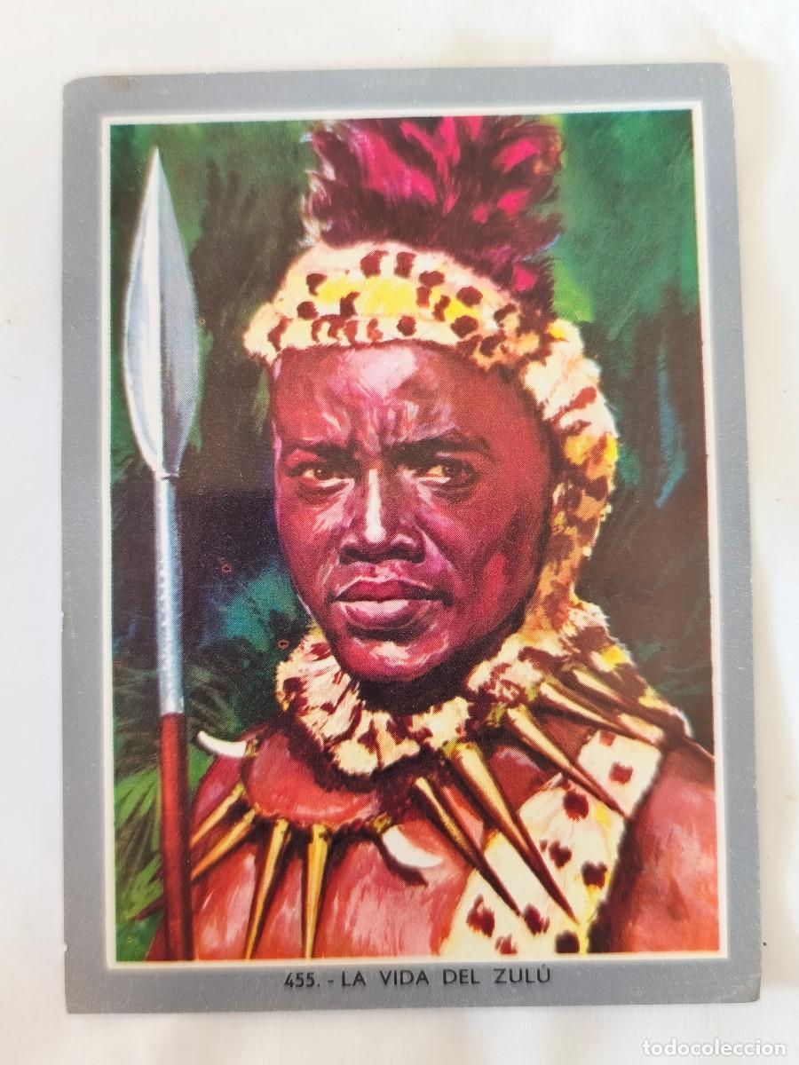 Coleccionismo cromos antiguos: CROMO ALBUM VIDA Y COLOR 2 - No 455 LA VIDA DEL ZUL&Uacute; - Nunca Pegado