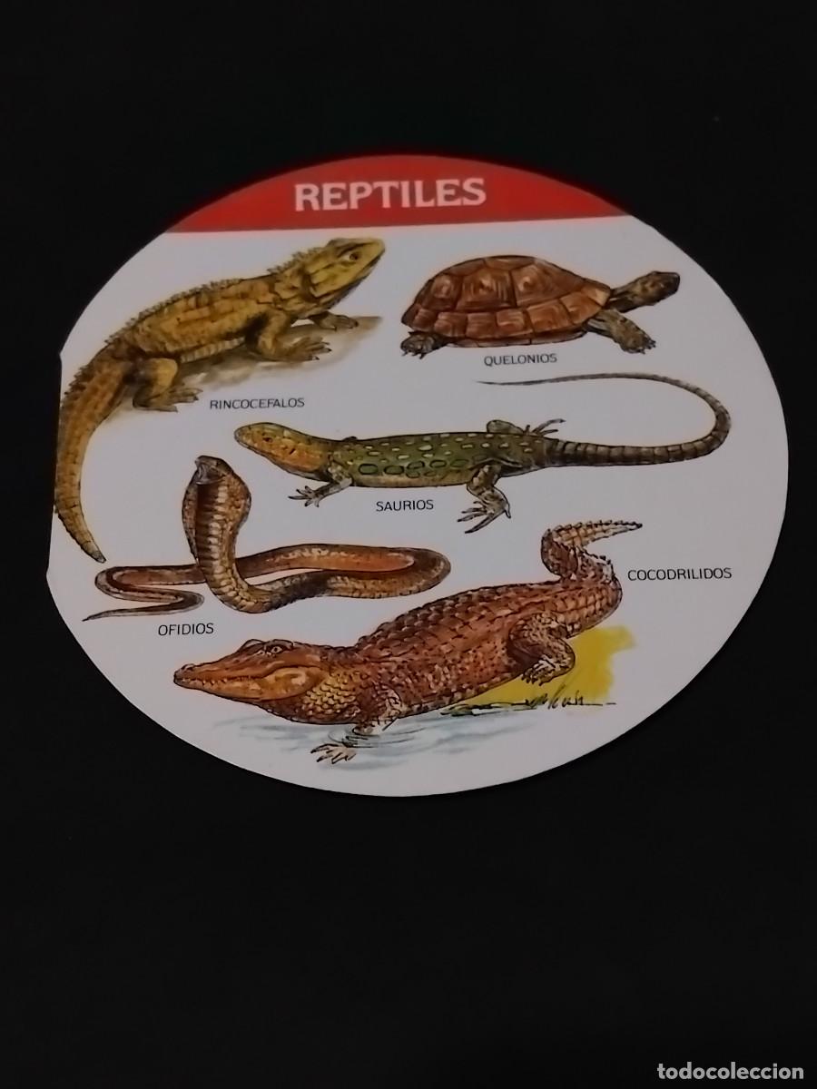 Coleccionismo cromos antiguos: REPTILES CROMO LA VACA QUE R&Iacute;E 1987 promoci&oacute;n CONOCE LOS ANIMALES cromos queso quesitos MUY RARO