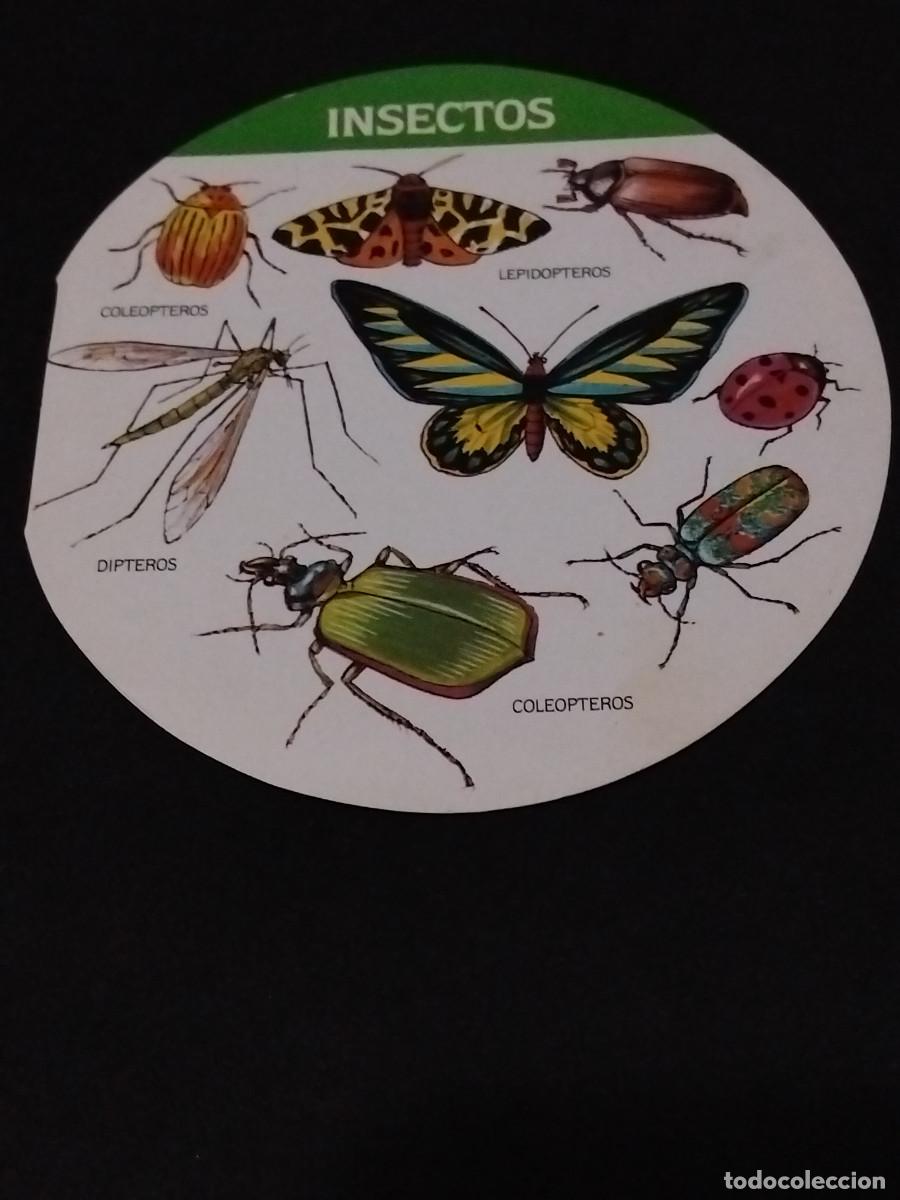 Coleccionismo cromos antiguos: INSECTOS CROMO LA VACA QUE R&Iacute;E 1987 promoci&oacute;n CONOCE LOS ANIMALES cromos queso quesitos MUY RARO