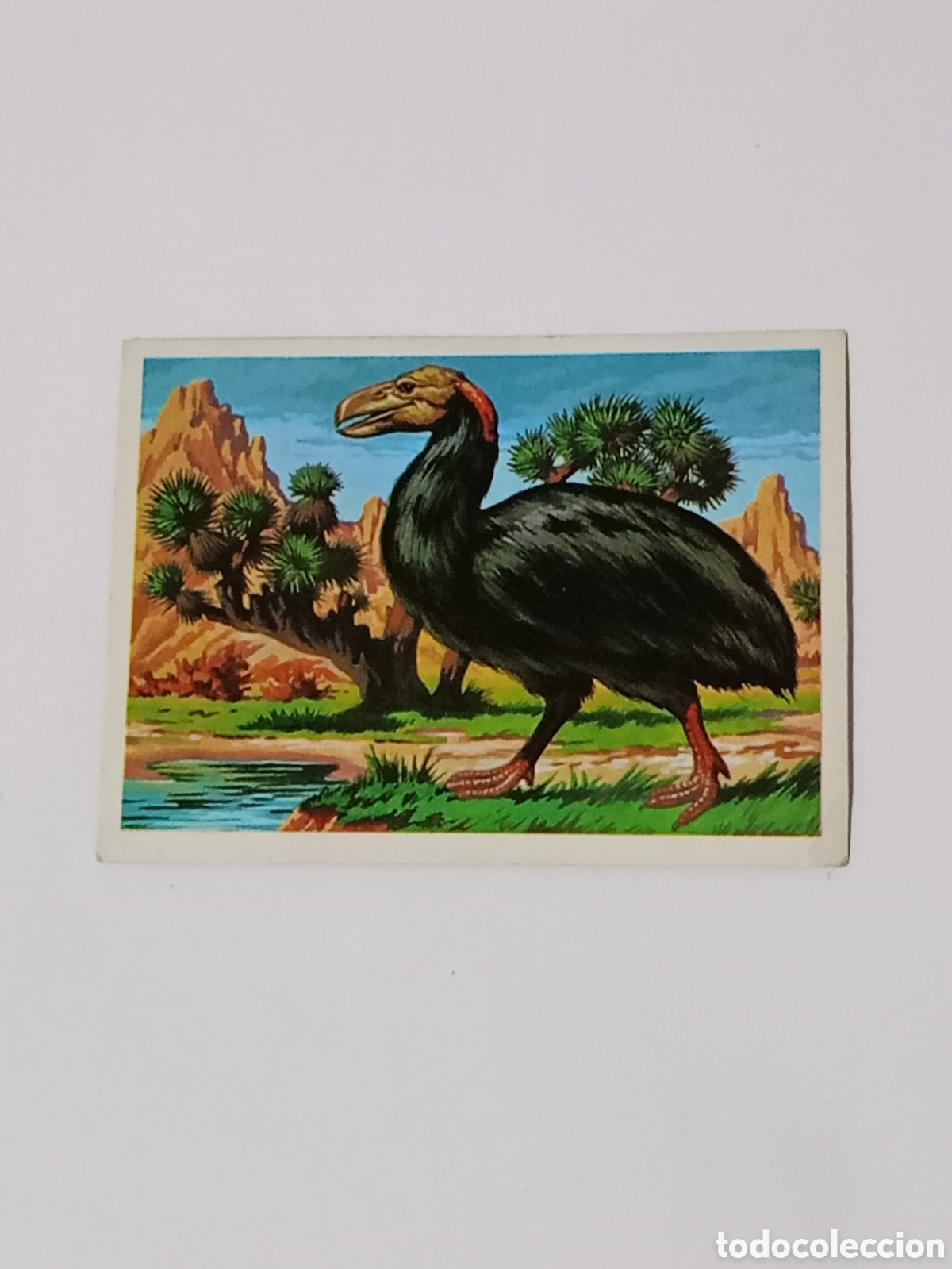 Collezionismo Figurine antiche: HACE MILLONES DE A&Ntilde;OS - CROMO N&ordm; 110 - CHOCOLATES TORRAS - RUIZ ROMERO - NUNCA PEGADO