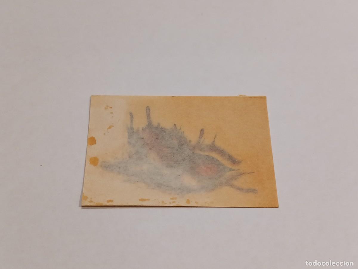 Coleccionismo cromos antiguos: BIMBO CROMO BODYTATOOS CALCOMANIA ORIGINAL / COMPRA MIN&Iacute;MA 5 &euro;