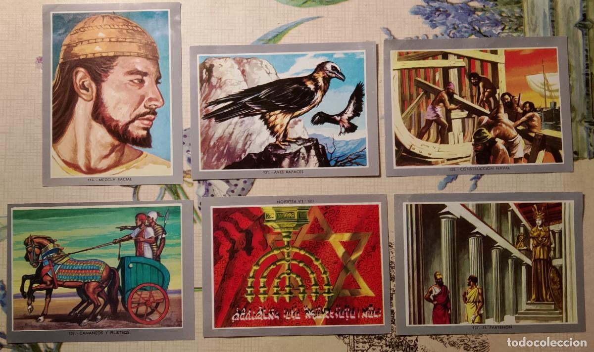 Coleccionismo cromos antiguos: Vida y Color 2. Cromos. - Foto 6