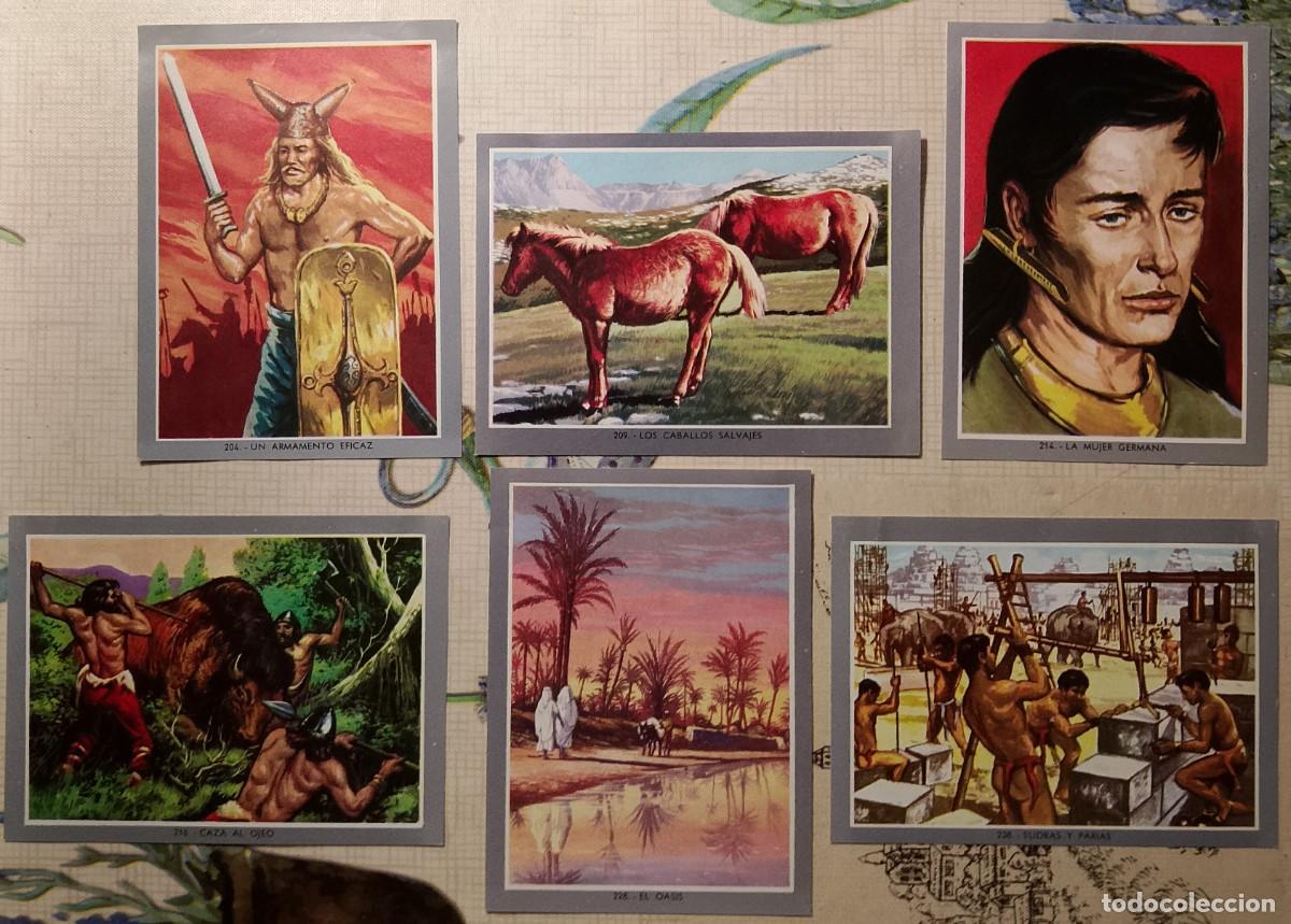 Coleccionismo cromos antiguos: Vida y Color 2. Cromos. - Foto 8