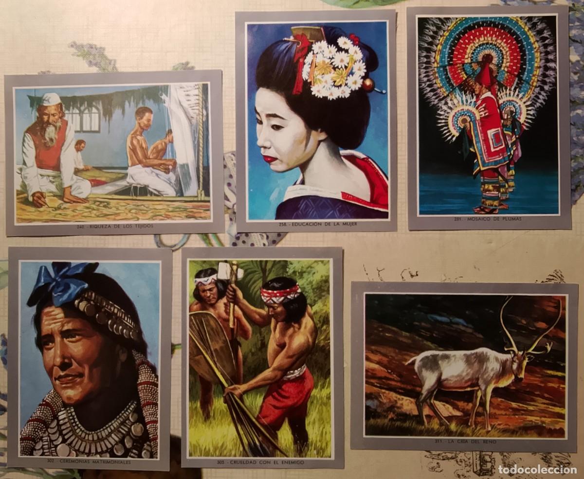 Coleccionismo cromos antiguos: Vida y Color 2. Cromos. - Foto 9