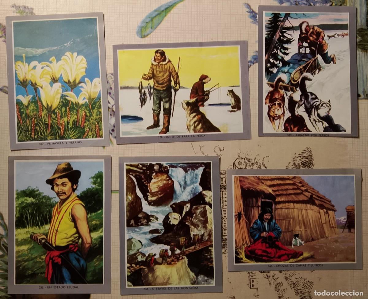 Coleccionismo cromos antiguos: Vida y Color 2. Cromos. - Foto 10