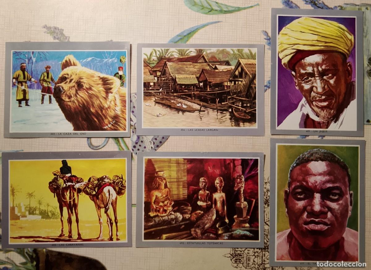 Coleccionismo cromos antiguos: Vida y Color 2. Cromos. - Foto 11