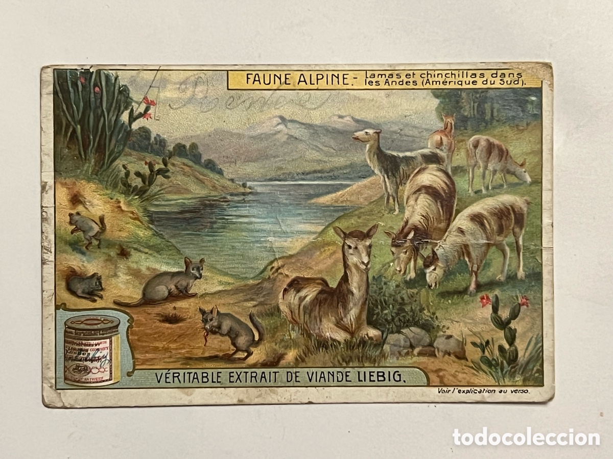Colecionismo Cromos antigos: FAUNA ALPINA CROMO. VERITABLE EXTRAIT DE VIANDE LIEBIG. COMPAGNIE LIEBIG. Francia (h.1900?)