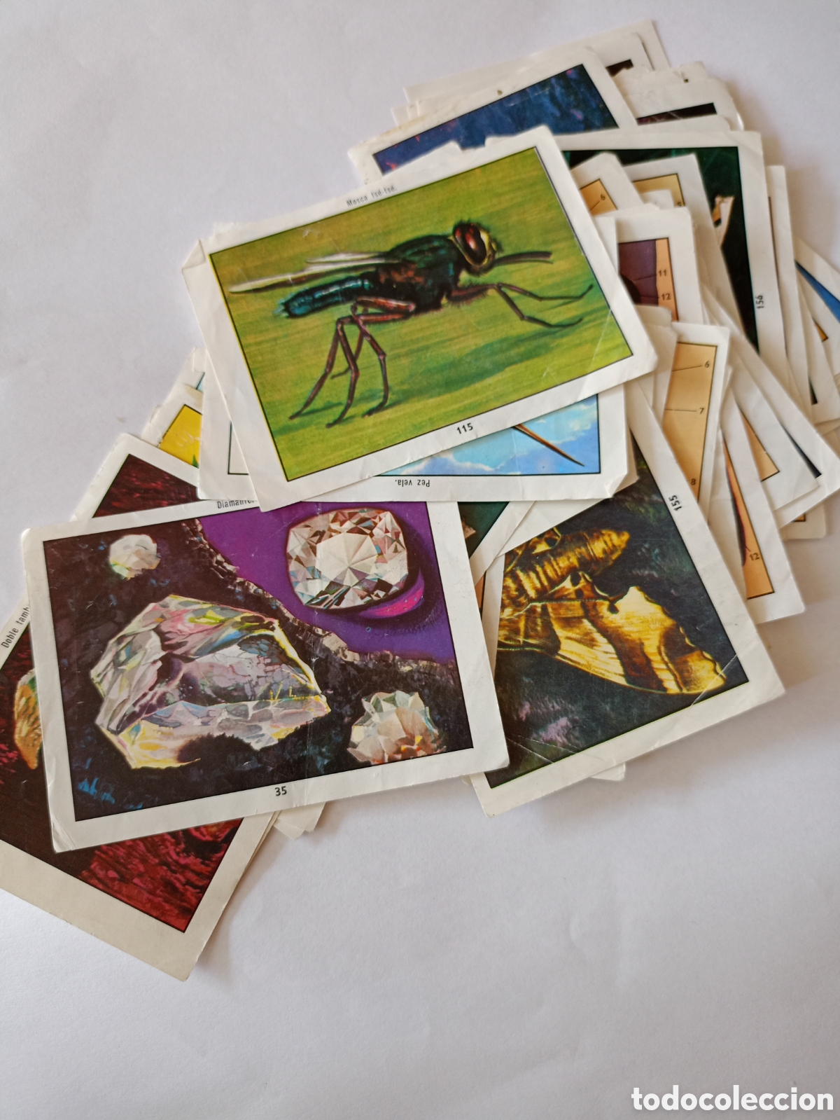 Sammeln alte Sammelbilder: Lote 89 cromos Vida y color a&ntilde;os 70
