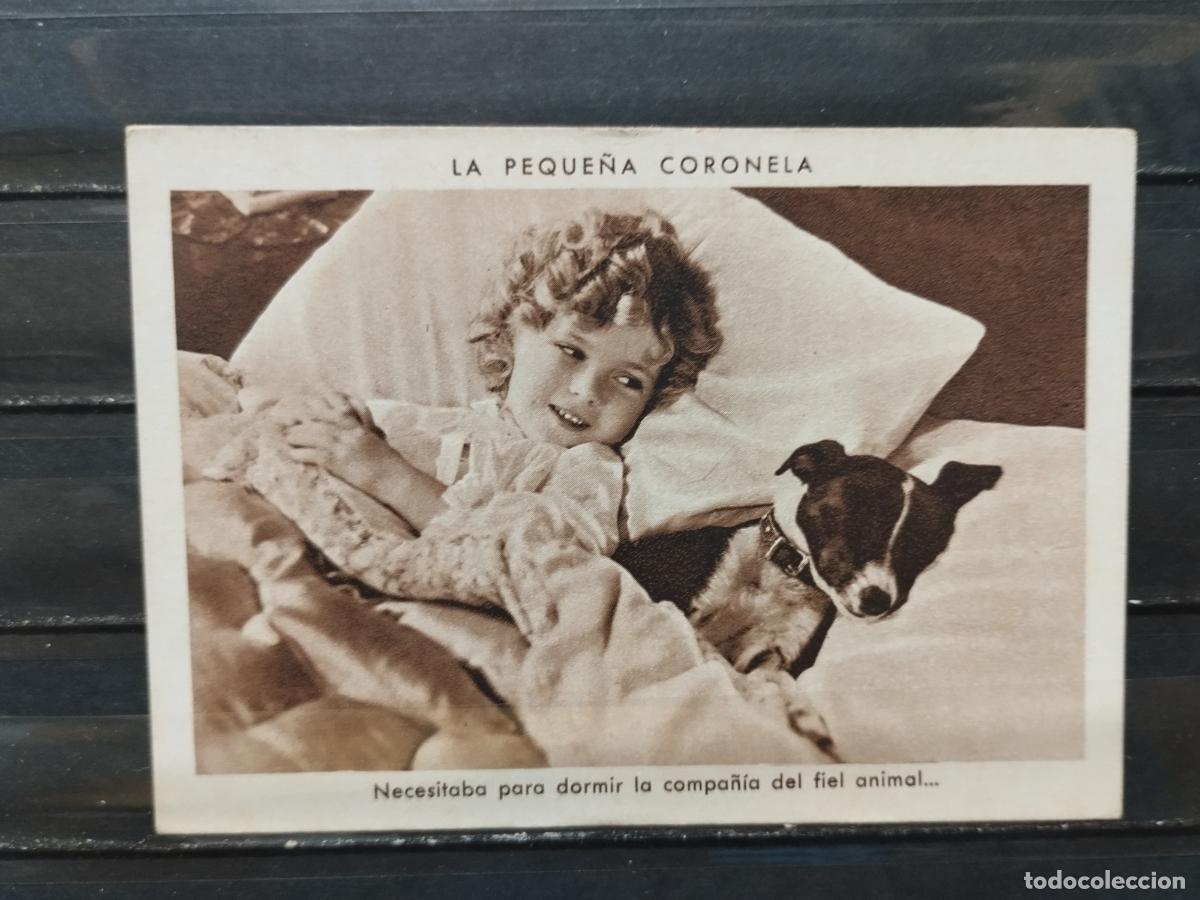 Collectionnisme Cartes &agrave; collectionner anciennes: CROMOS ANTIGUOS. CINE. LA PEQUE&Ntilde;A CORONELA. N&ordm; 15. SHIRLEY TEMPLE. SIN PUBLICIDAD.