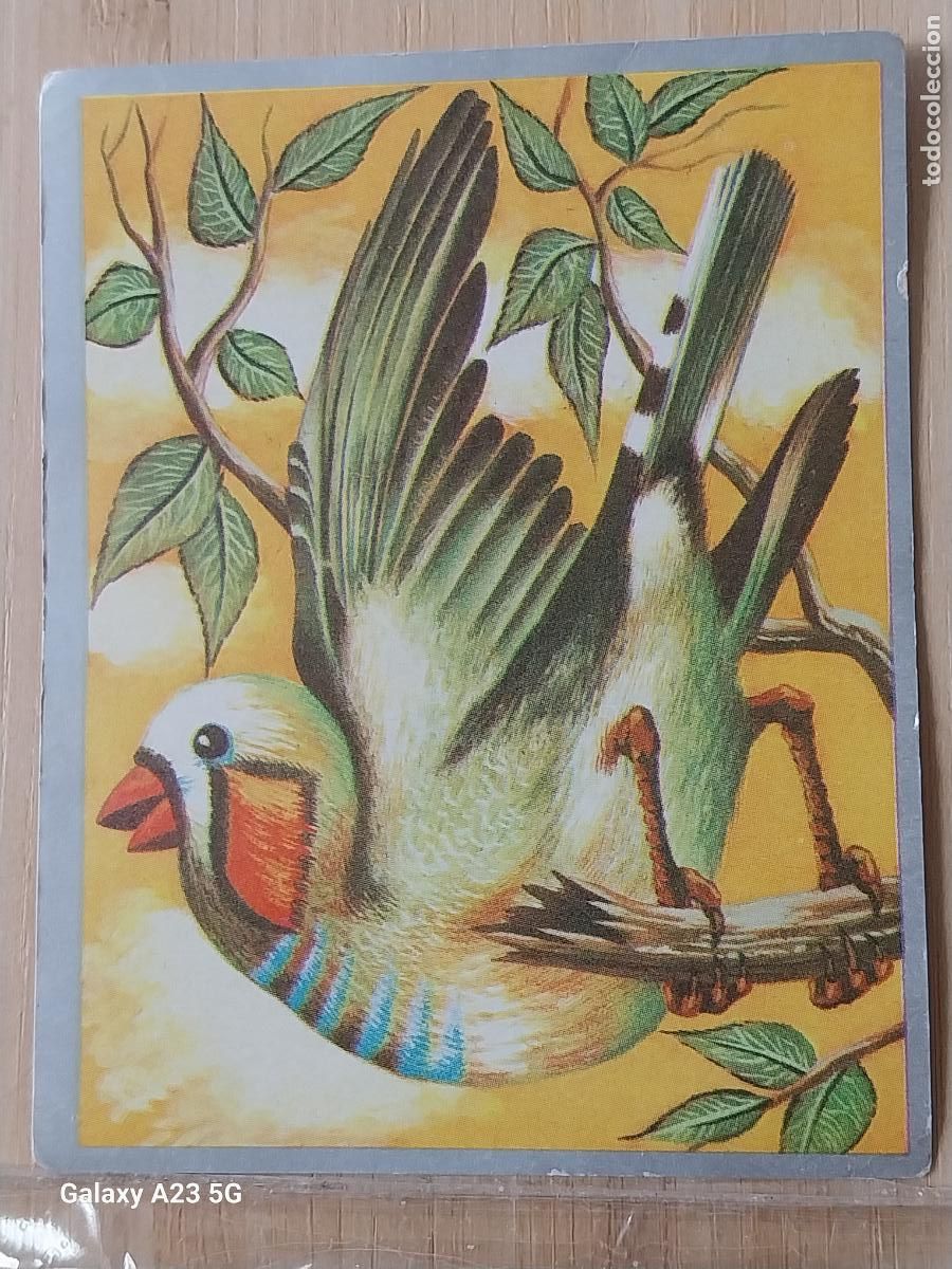 Collezionismo Figurine antiche: DIAMANTE MANDARIN ZOOLOGIA Y BOTANICA ED MAGA A&Ntilde;O 1969 CROMO 121 SIN PEGAR NUNCA 9X7CMS