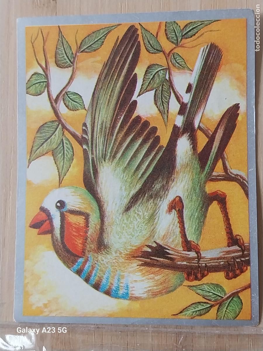 Collezionismo Figurine antiche: DIAMANTE MANDARIN + ZOOLOGIA Y BOTANICA ED MAGA A&Ntilde;O 1969 CROMO 121 SIN PEGAR NUNCA 9X7CMS