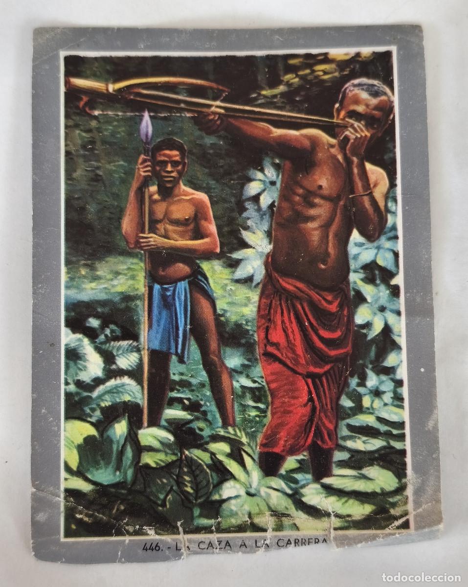 Collectable Antique Stickers: CROMO ALBUM VIDA Y COLOR 2 - No 446 LA CAZA A LA CARRERA - Nunca Pegado
