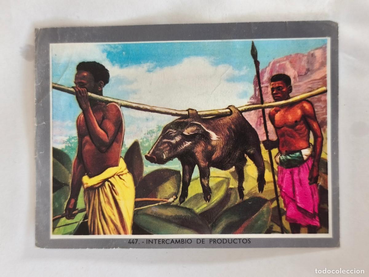 Collectable Antique Stickers: CROMO ALBUM VIDA Y COLOR 2 - No 447 INTERCAMBIO DE PRODUCTOS - Nunca Pegado