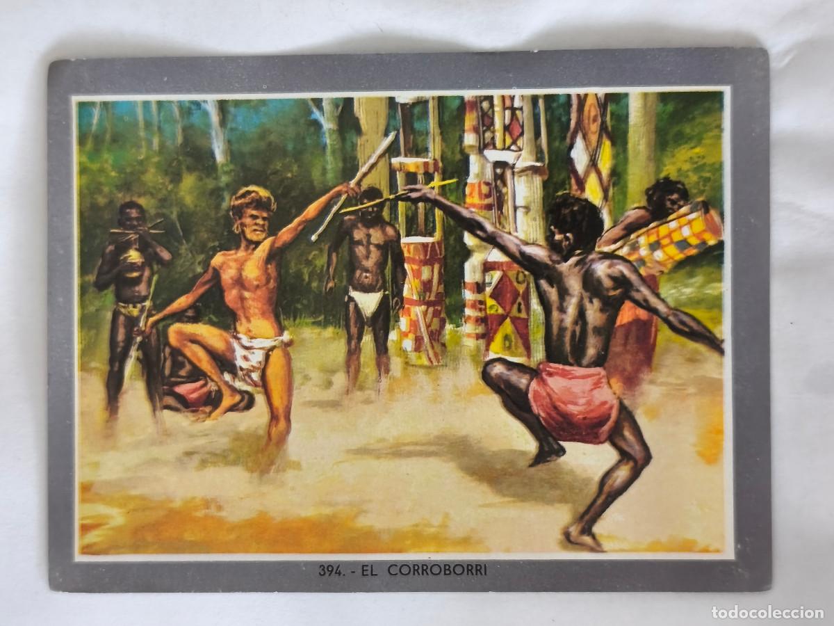 Collectionnisme Cartes &agrave; collectionner anciennes: CROMO ALBUM VIDA Y COLOR 2 - No 394 EL CORROBORRI - Nunca Pegado