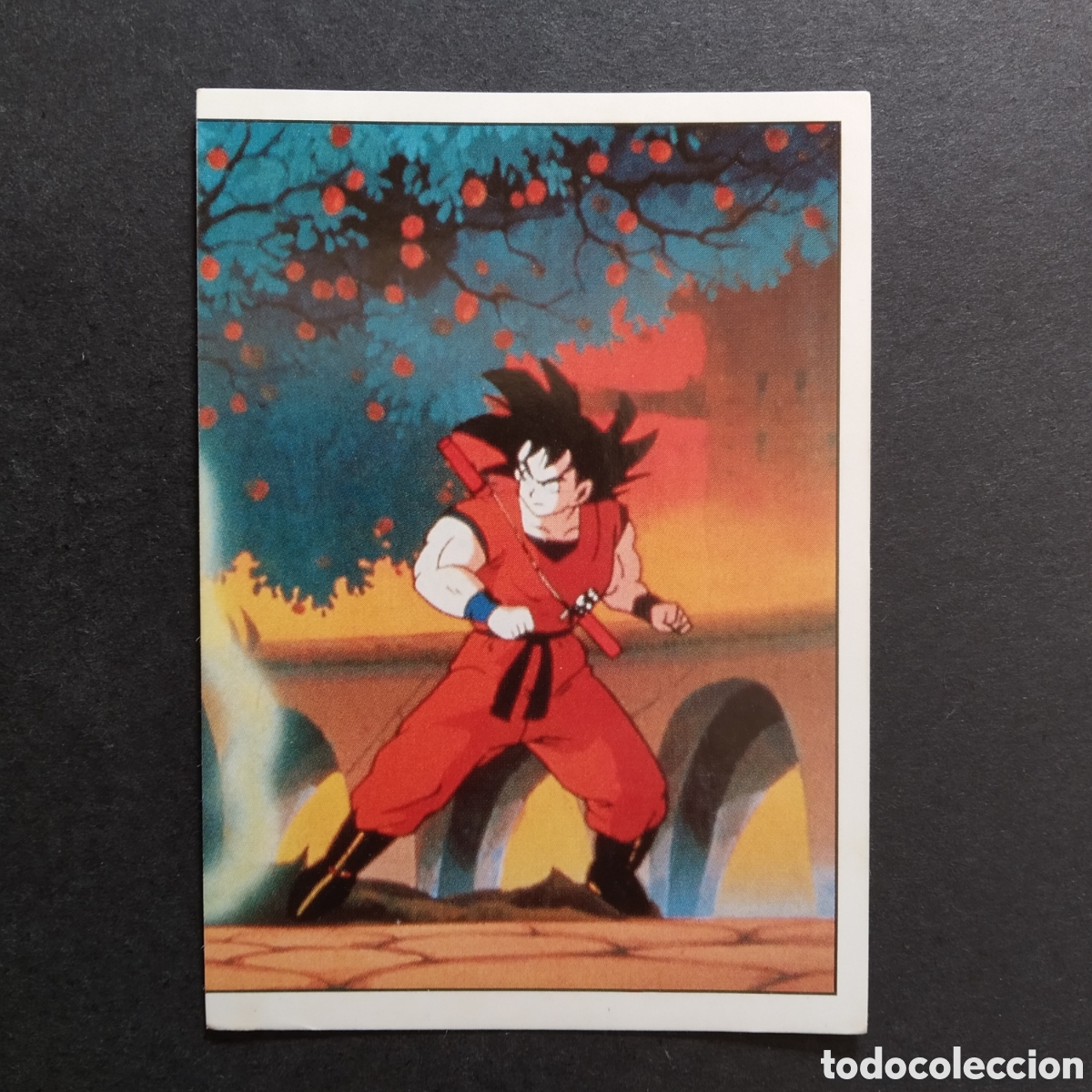 Collectable Antique Stickers: CROMO - N&deg; 015 - DRAGON BALL Z (Z3) - PANINI - A&Ntilde;O 1996