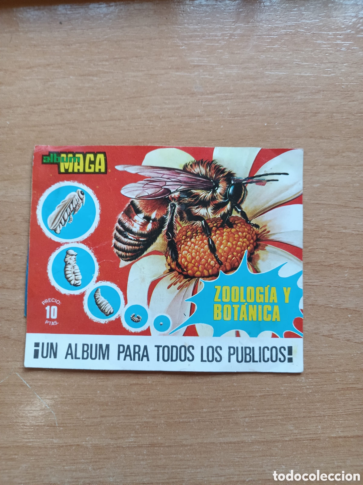 Colecionismo Cromos antigos: Sobre sin abrir con vale ZOOLOGIA BOTANICA Maga 1969