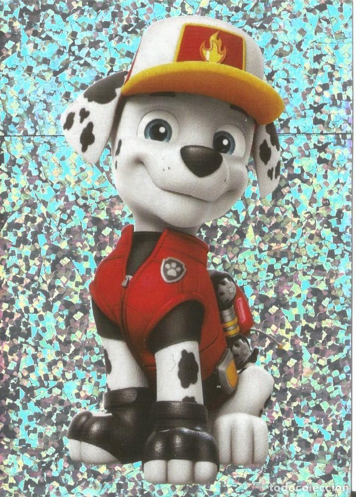 Coleccionismo cromos antiguos: Cromo N&uacute;mero 8 - Foil - &Aacute;lbum PAW Patrol Big Truck Pups (Panini, 2023) - La Patrulla Canina - Nuevo
