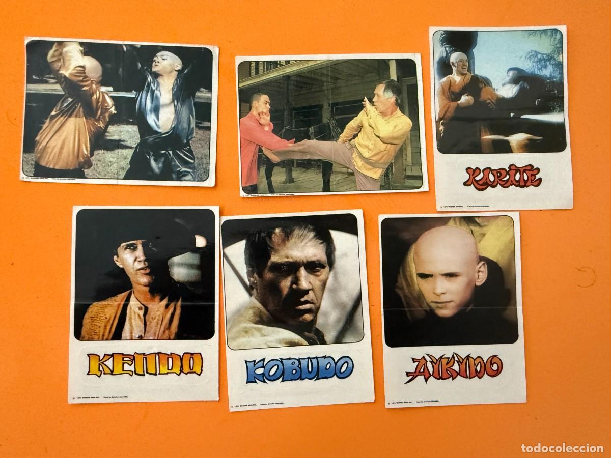 Collezionismo Figurine antiche: 6 cromos Kung Fu - Artes Marciales - Panrico K&aacute;rate Kid