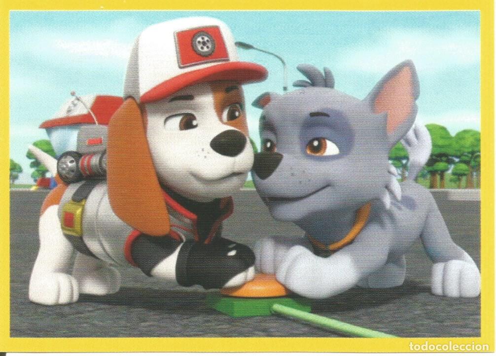 Collezionismo Figurine antiche: Cromo N&uacute;mero 122 - &Aacute;lbum PAW Patrol Big Truck Pups (Panini, 2023) - La Patrulla Canina - Nuevo