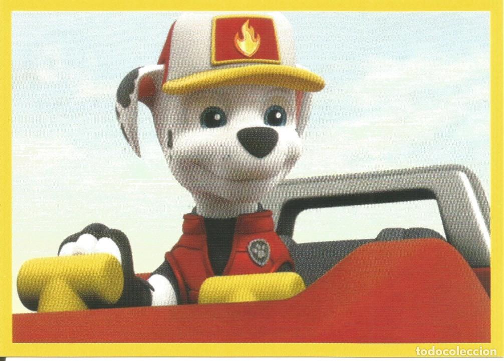 Coleccionismo cromos antiguos: Cromo N&uacute;mero 143 - &Aacute;lbum PAW Patrol Big Truck Pups (Panini, 2023) - La Patrulla Canina - Nuevo