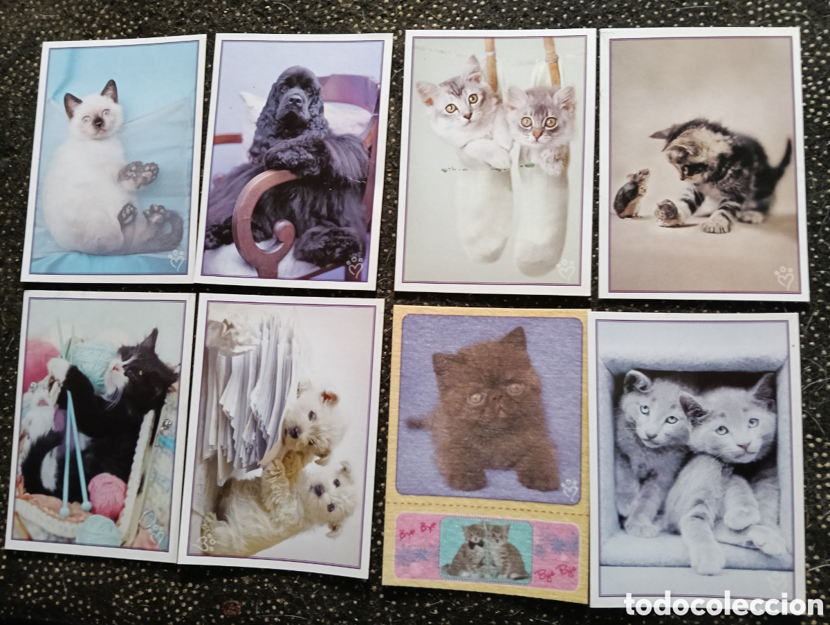 Collectionnisme Cartes &agrave; collectionner anciennes: 8 cromos de animalitos divertidos de Panini 2009, sin pegar