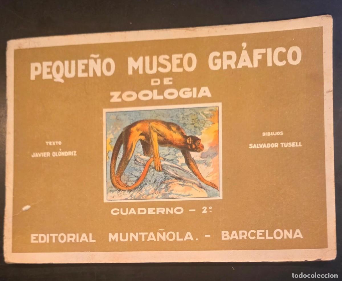 Colecionismo Cromos antigos: Antiguo &Aacute;lbum Peque&ntilde;o Museo Gr&aacute;fico de Zoolog&iacute;a N&ordm; 2 &ndash; Editorial Munta&ntilde;ola Barcelona &ndash; Ilustrado