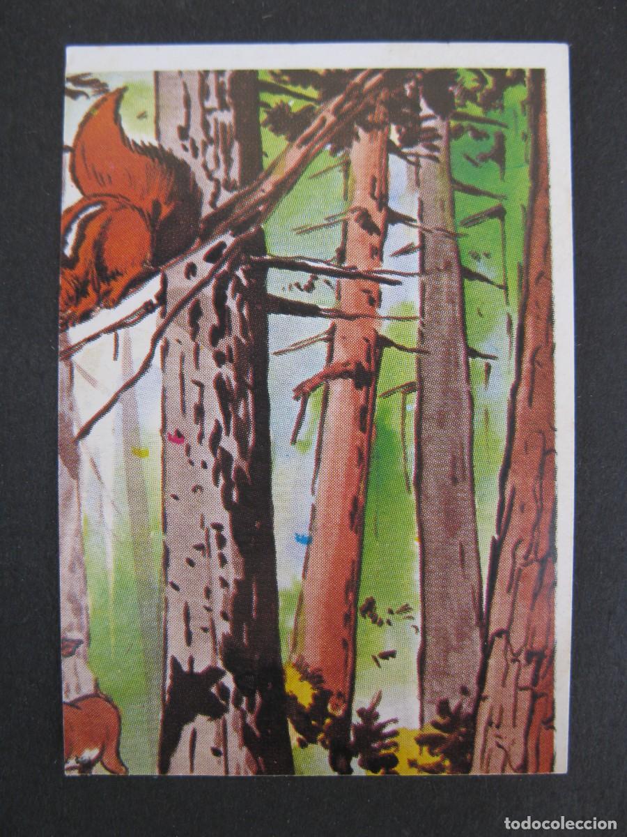 Collectionnisme Cartes &agrave; collectionner anciennes: EL INCRE&Iacute;BLE HULK - LA MASA - CROMO N&ordm; 74 - EDITORIAL FHER - NUNCA PEGADO.
