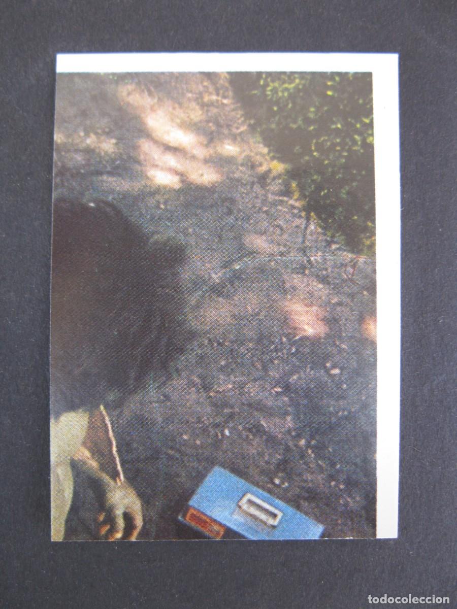 Collectionnisme Cartes &agrave; collectionner anciennes: EL INCRE&Iacute;BLE HULK - LA MASA - CROMO N&ordm; 12 - EDITORIAL FHER - NUNCA PEGADO.