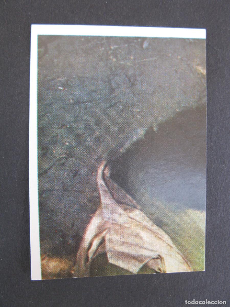 Collectionnisme Cartes &agrave; collectionner anciennes: EL INCRE&Iacute;BLE HULK - LA MASA - CROMO N&ordm; 11 - EDITORIAL FHER - NUNCA PEGADO.