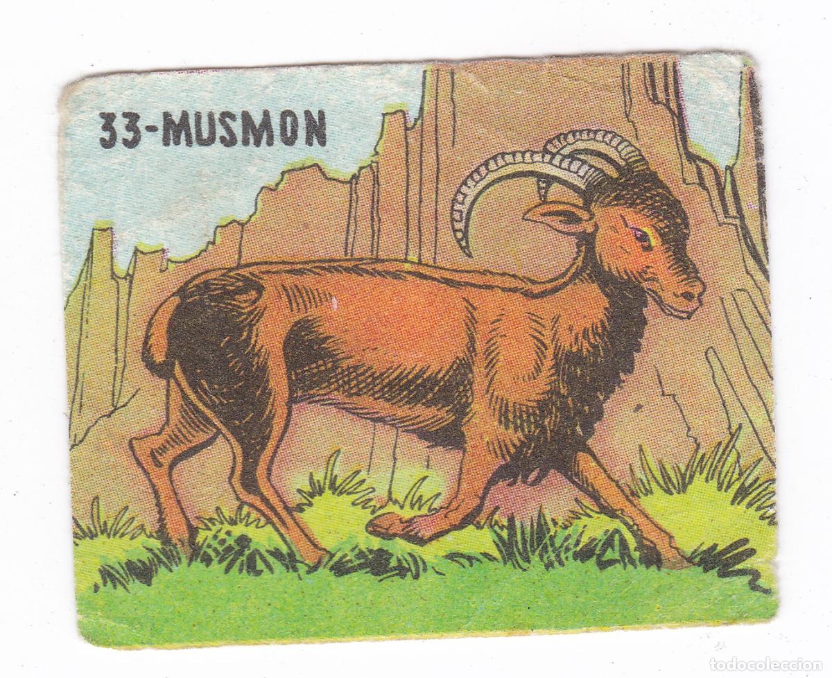 Colecionismo Cromos antigos: Reino Animal. Colecci&oacute;n de Cromos Ediciones Costa Gigarpe A&ntilde;o 1963. Cromo N&ordm; 33