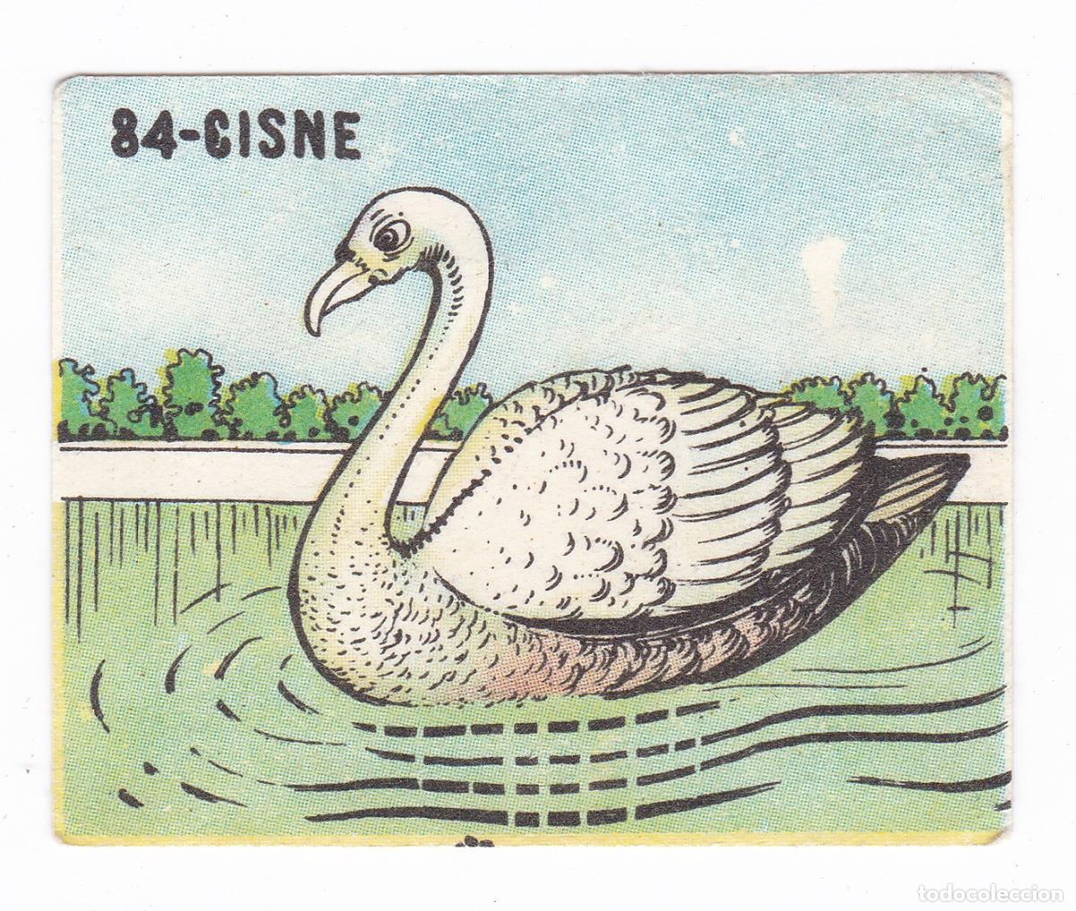 Colecionismo Cromos antigos: Reino Animal. Colecci&oacute;n de Cromos Ediciones Costa Gigarpe A&ntilde;o 1963. Cromo N&ordm; 84