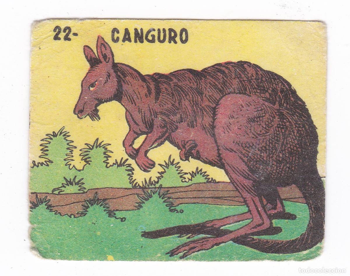 Colecionismo Cromos antigos: Reino Animal. Colecci&oacute;n de Cromos Ediciones Costa Gigarpe A&ntilde;o 1963. Cromo N&ordm; 22