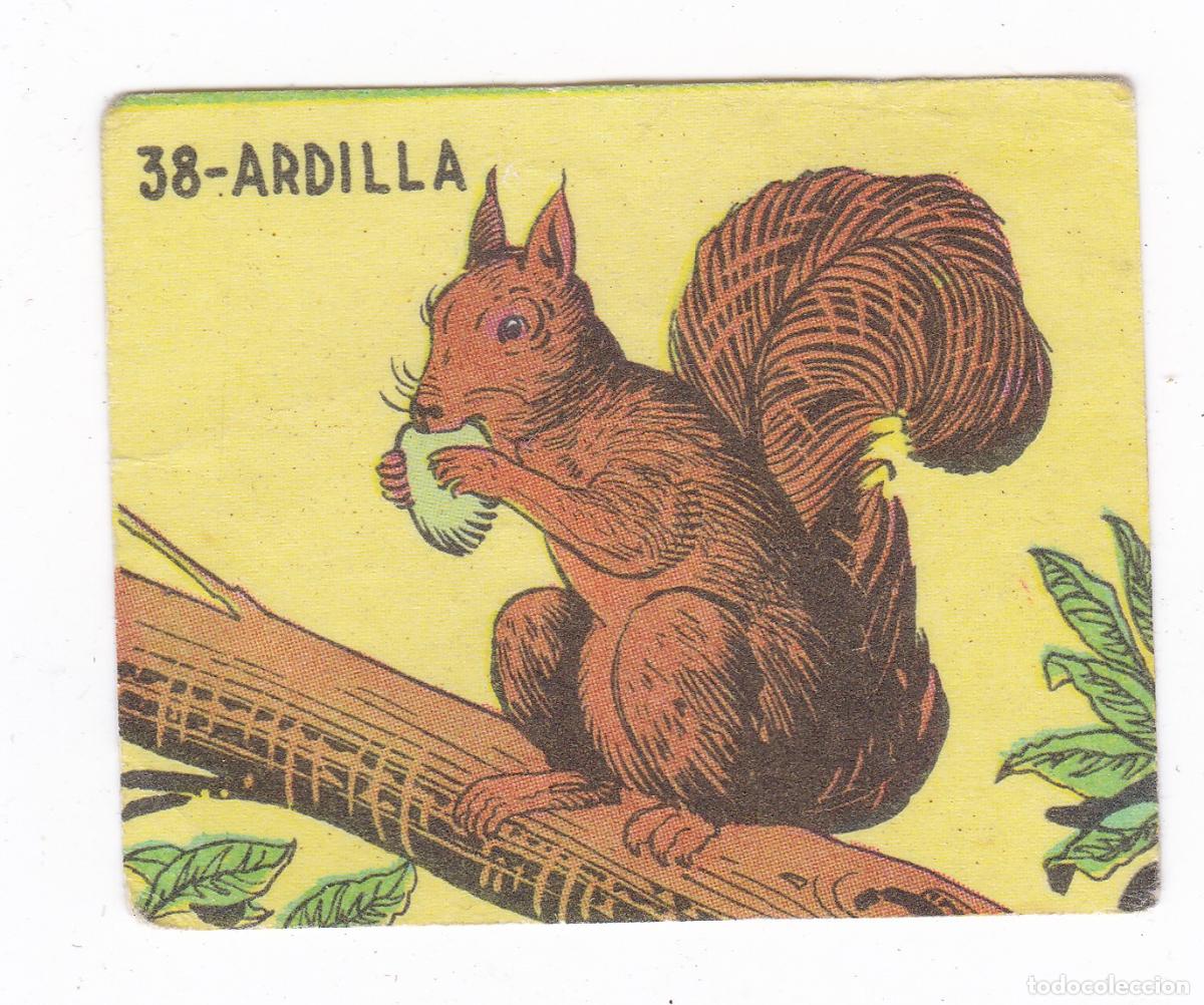 Colecionismo Cromos antigos: Reino Animal. Colecci&oacute;n de Cromos Ediciones Costa Gigarpe A&ntilde;o 1963. Cromo N&ordm; 38