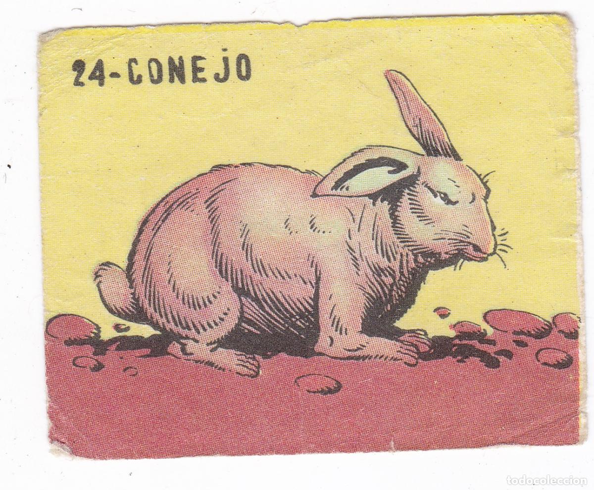 Colecionismo Cromos antigos: Reino Animal. Colecci&oacute;n de Cromos Ediciones Costa Gigarpe A&ntilde;o 1963. Cromo N&ordm; 24
