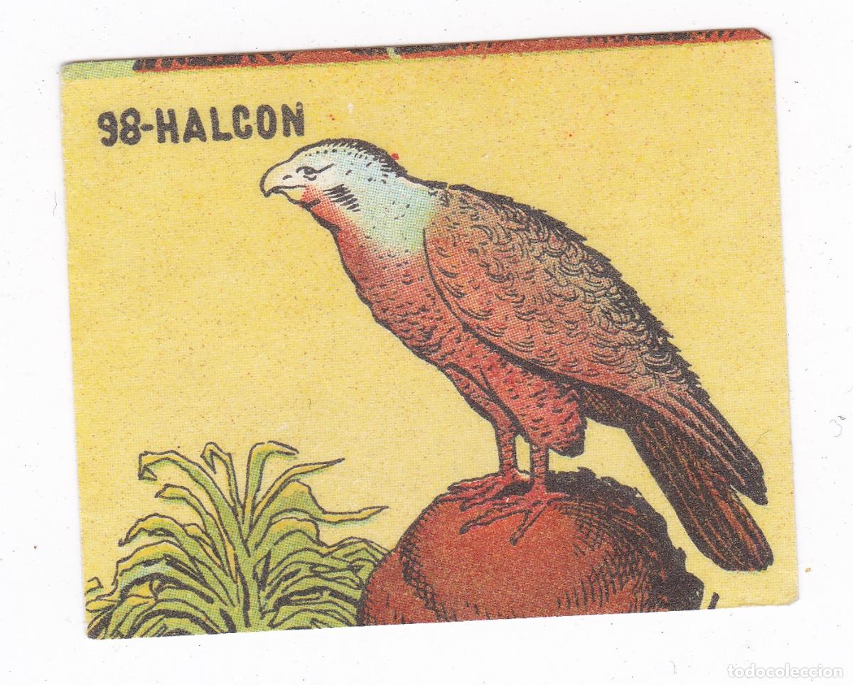 Colecionismo Cromos antigos: Reino Animal. Colecci&oacute;n de Cromos Ediciones Costa Gigarpe A&ntilde;o 1963. Nunca pegado. Cromo N&ordm; 98