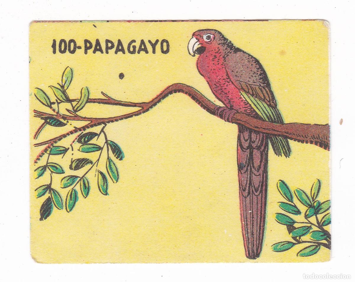Colecionismo Cromos antigos: Reino Animal. Colecci&oacute;n de Cromos Ediciones Costa Gigarpe A&ntilde;o 1963. Nunca pegado. Cromo N&ordm; 100