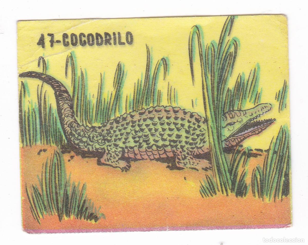 Colecionismo Cromos antigos: Reino Animal. Colecci&oacute;n de Cromos Ediciones Costa Gigarpe A&ntilde;o 1963. Nunca pegado. Cromo N&ordm; 47