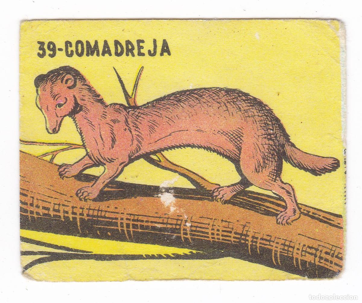 Coleccionismo cromos antiguos: Reino Animal. Colecci&oacute;n de Cromos Ediciones Costa Gigarpe A&ntilde;o 1963. Nunca pegado. Cromo N&ordm; 39