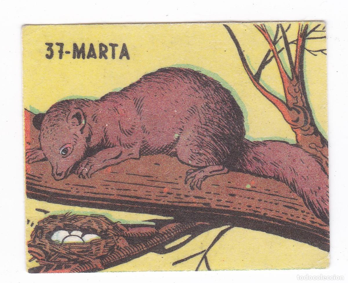 Coleccionismo cromos antiguos: Reino Animal. Colecci&oacute;n de Cromos Ediciones Costa Gigarpe A&ntilde;o 1963. Nunca pegado. Cromo N&ordm; 37