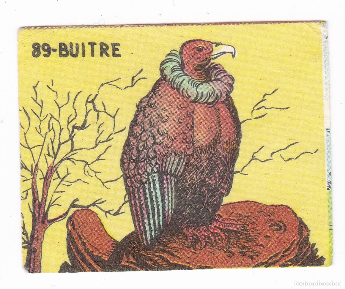 Coleccionismo cromos antiguos: Reino Animal. Colecci&oacute;n de Cromos Ediciones Costa Gigarpe A&ntilde;o 1963. Nunca pegado. Cromo N&ordm; 89