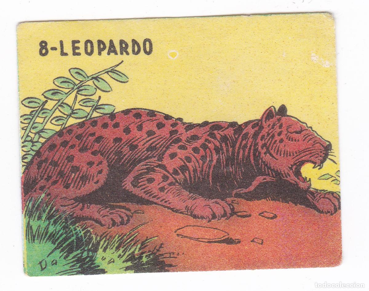 Coleccionismo cromos antiguos: Reino Animal. Colecci&oacute;n de Cromos Ediciones Costa Gigarpe A&ntilde;o 1963. Nunca pegado. Cromo N&ordm; 8
