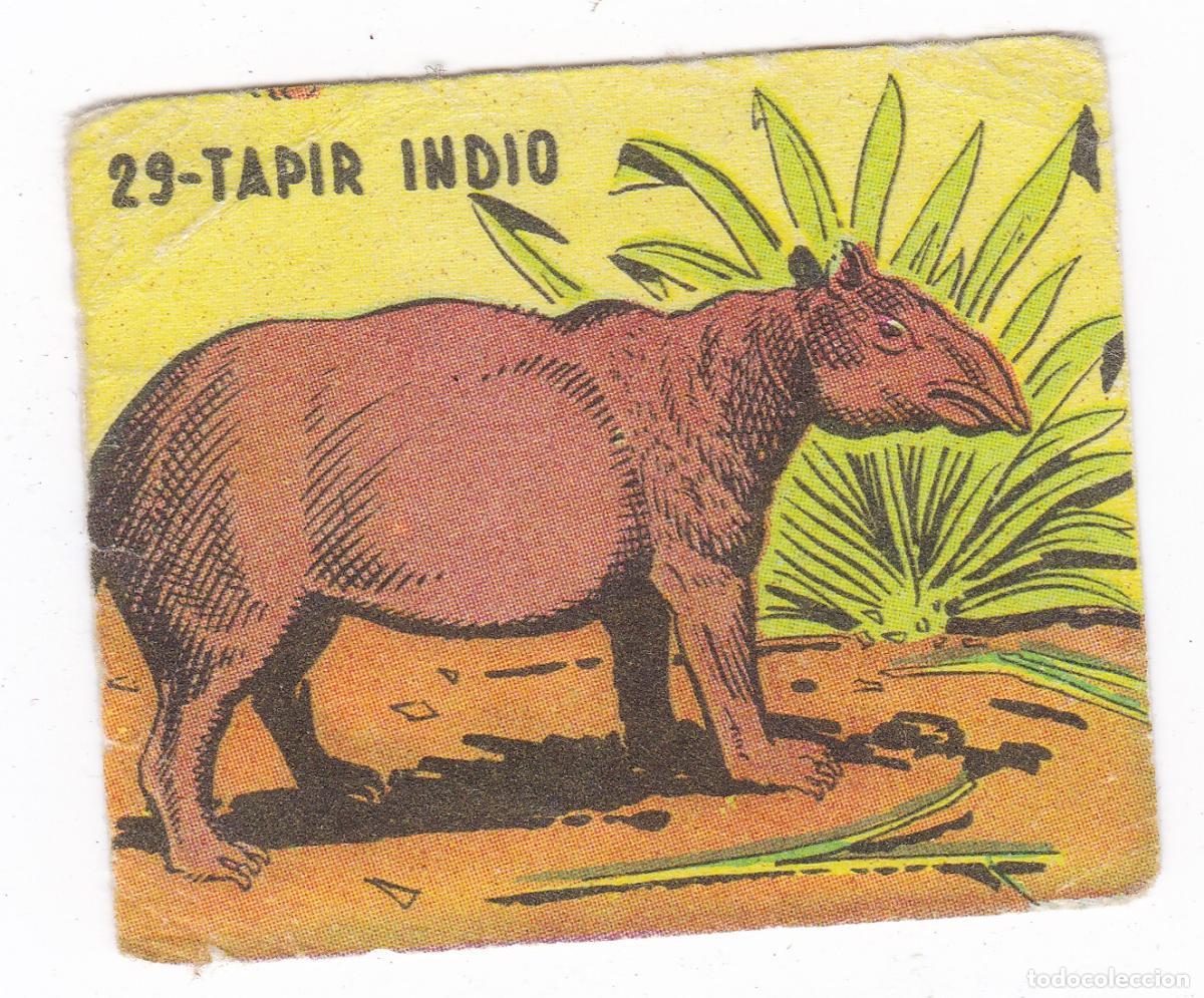 Coleccionismo cromos antiguos: Reino Animal. Colecci&oacute;n de Cromos Ediciones Costa Gigarpe A&ntilde;o 1963. Nunca pegado. Cromo N&ordm; 29